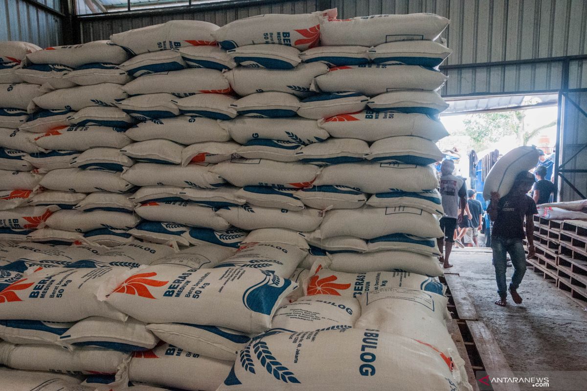 Di tengah pandemi COVID-19, persediaan beras di Lebak surplus