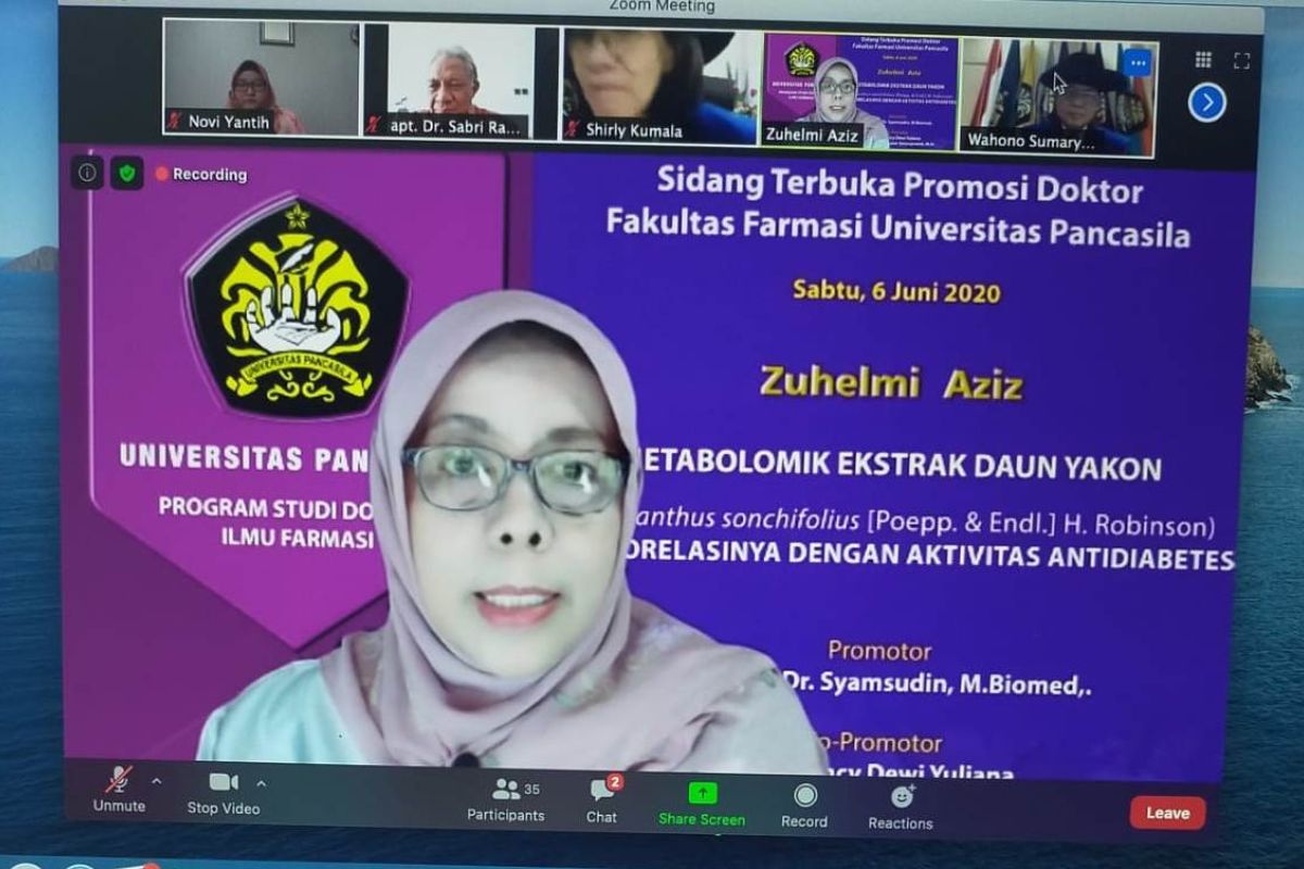 Doktor pertama Ilmu Farmasi UP kembangkan alternatif pengobatan Diabetes di tengah Pandemi COVID-19