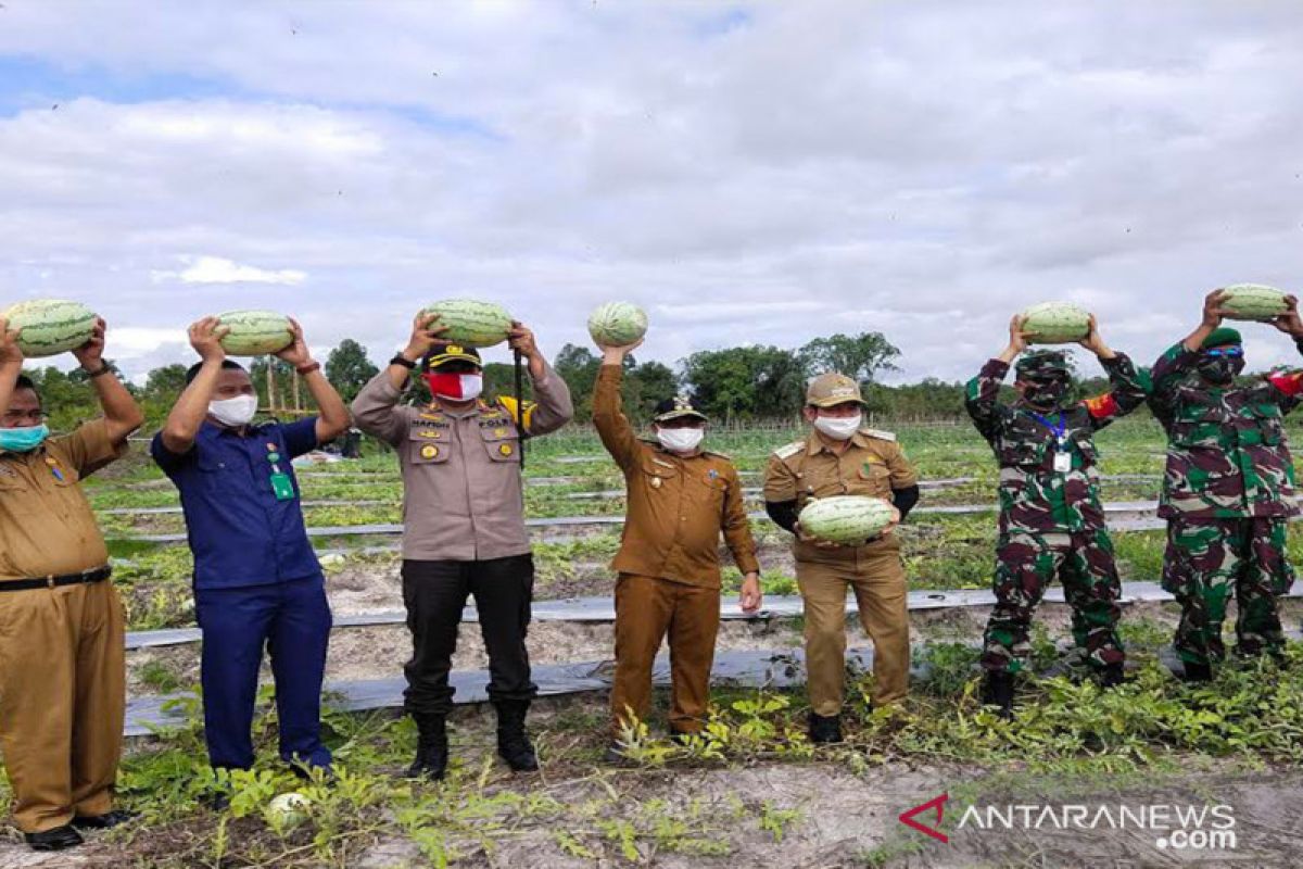 Bupati Bartim apresiasi Kodim ikut ciptakan ketahanan pangan saat COVID-19