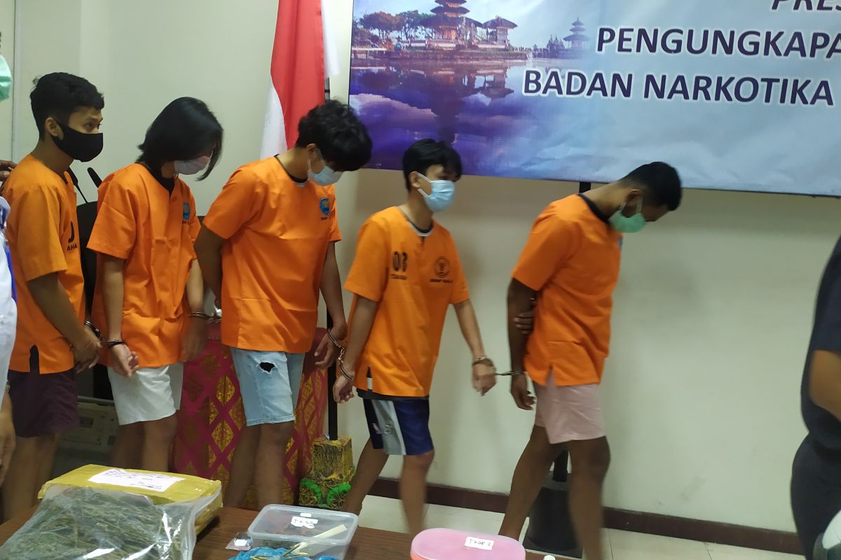 Lima mahasiswa pengguna ganja di Bali ditangkap petugas