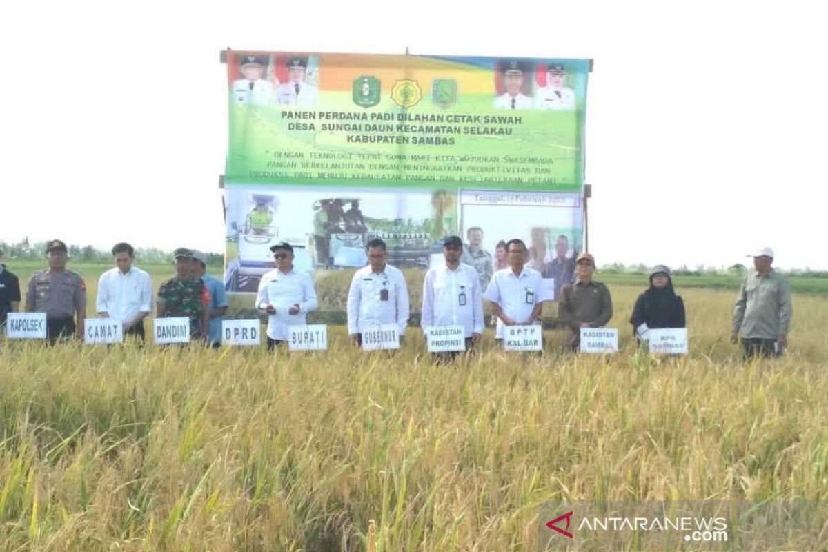 Bulog Kalbar jamin stok beras aman hingga enam bulan