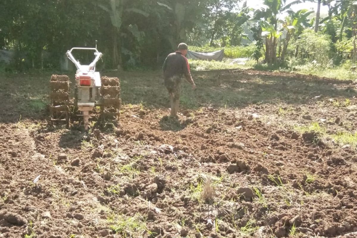 Penyuluh Sarolangun dampingi petani dalam percepatan musim tanam padi