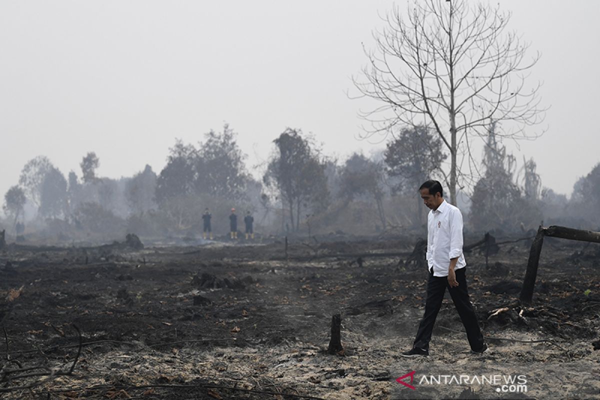 Jokowi perintahkan pencegahan karhutla manfaatkan teknologi