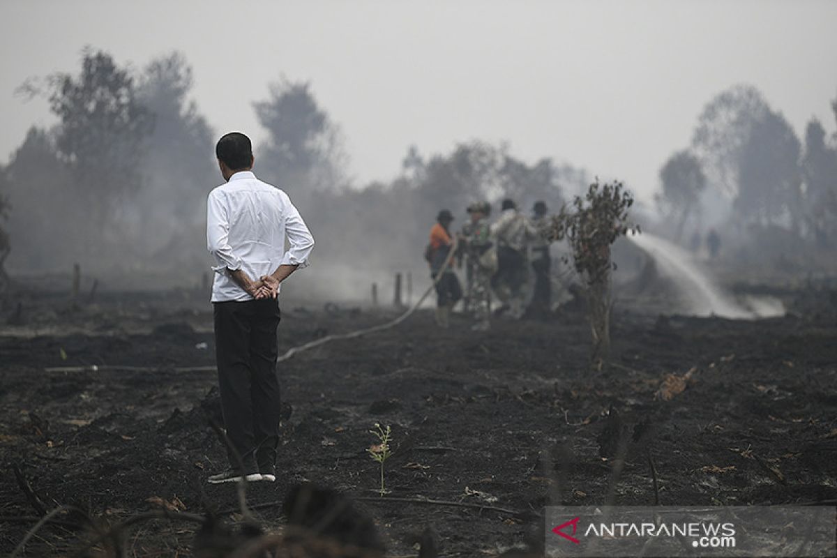 Presiden: Sudah 5 tahun karhutla Indonesia tak dibahas di ASEAN