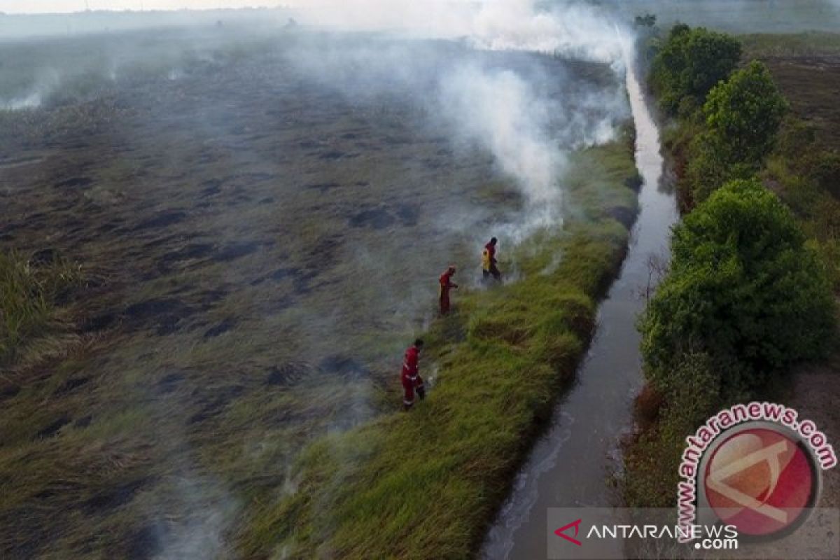 Tinggi muka air lahan gambut di Sumsel mulai turun