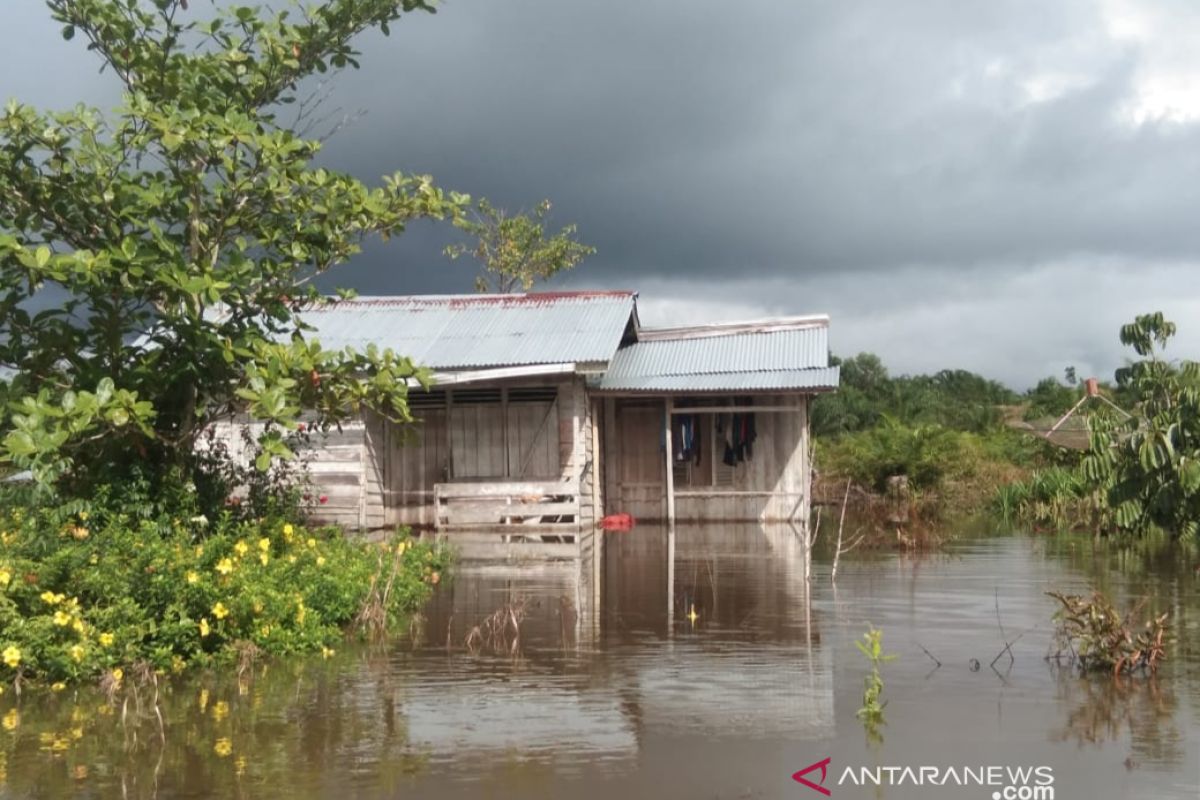 4.825 korban banjir di Kabupaten Sambas dapat bantuan beras dari pemprov