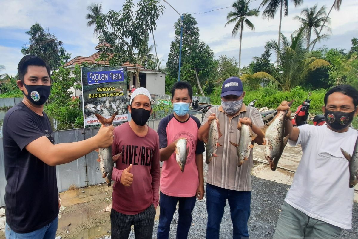 Komplek Borneo Lestari, Kampung Tangguh wujudkan ketahanan pangan dari budidaya ikan
