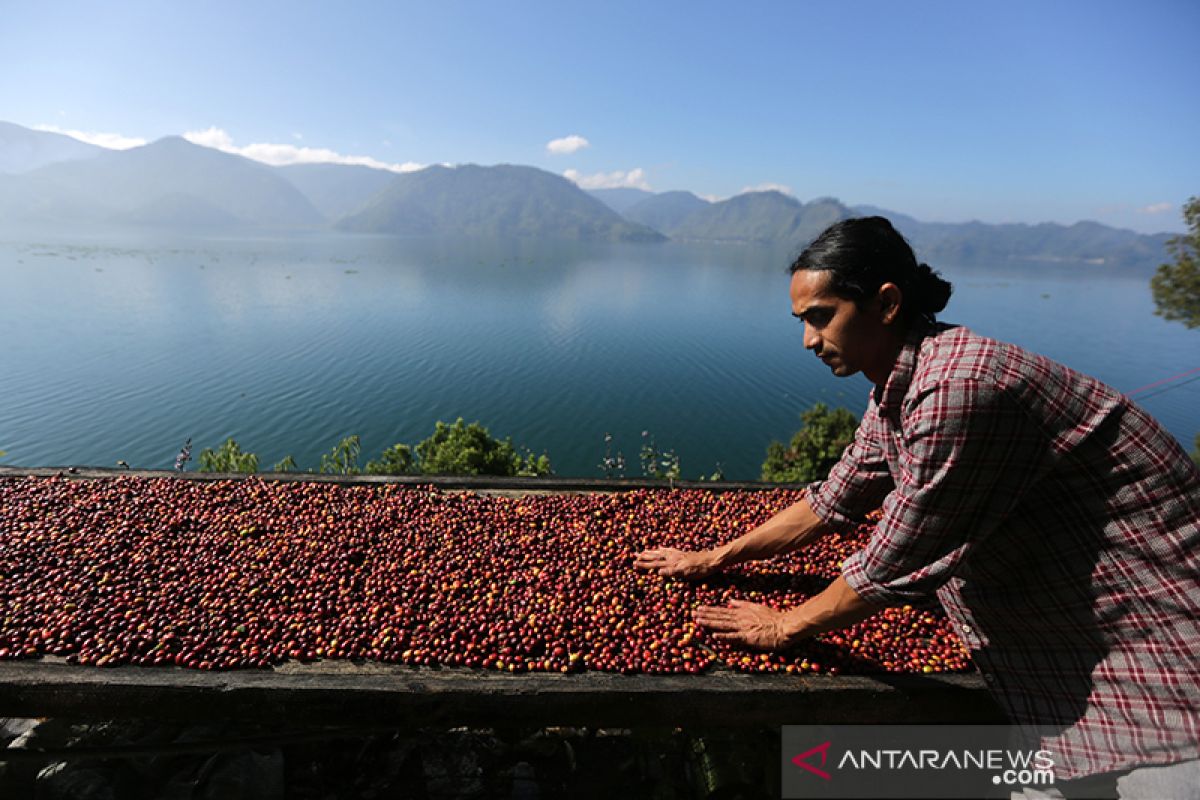 Tingkatkan wisatawan, Aceh gelar Festival Kopi Kutaraja