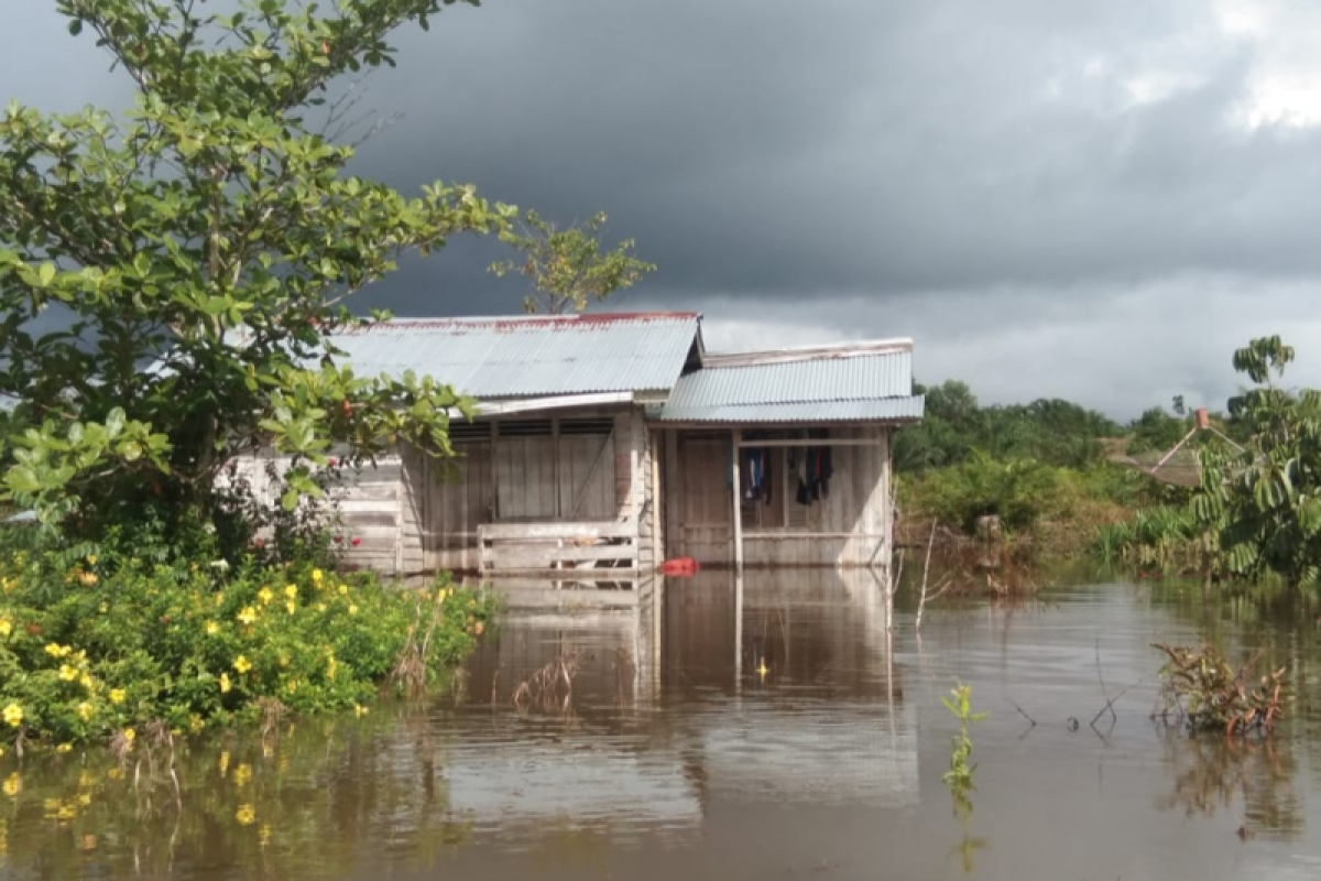 Desa Sabung di Kabupaten Sambas kembali direndam banjir