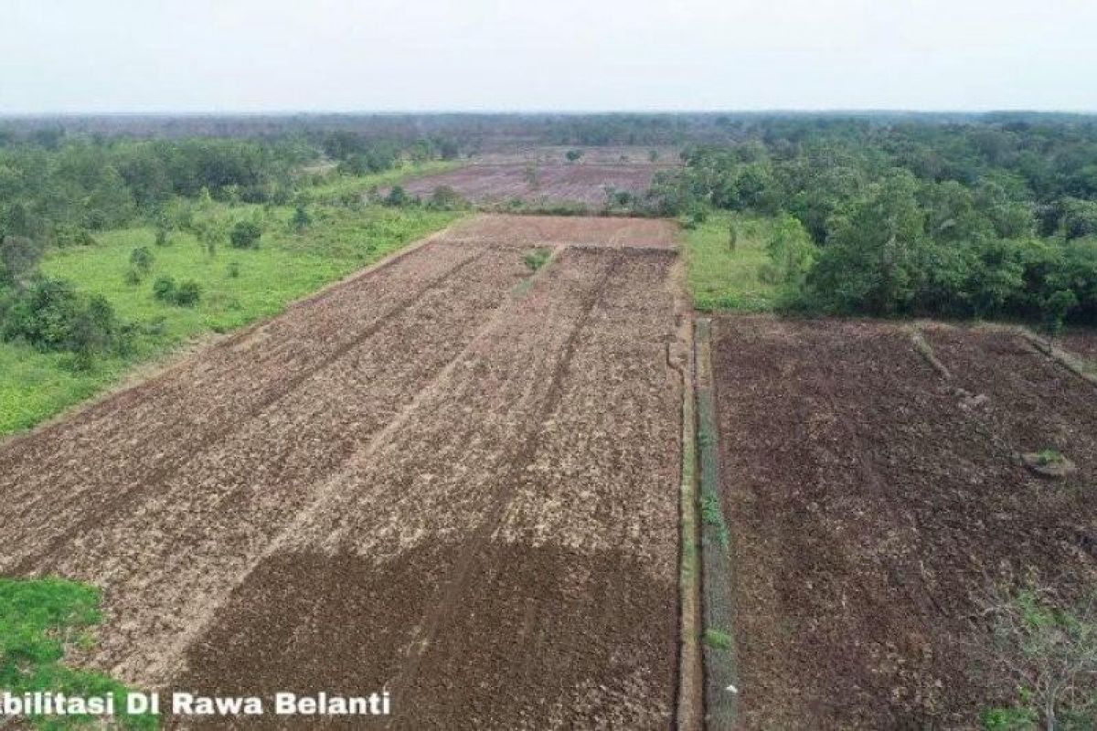 Jaringan irigasi Food Estate di Kalteng akan didesain ulang oleh Menteri PUPR