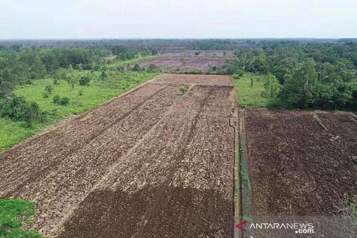 Menteri PUPR akan desain ulang jaringan irigasi Food Estate di Kalteng