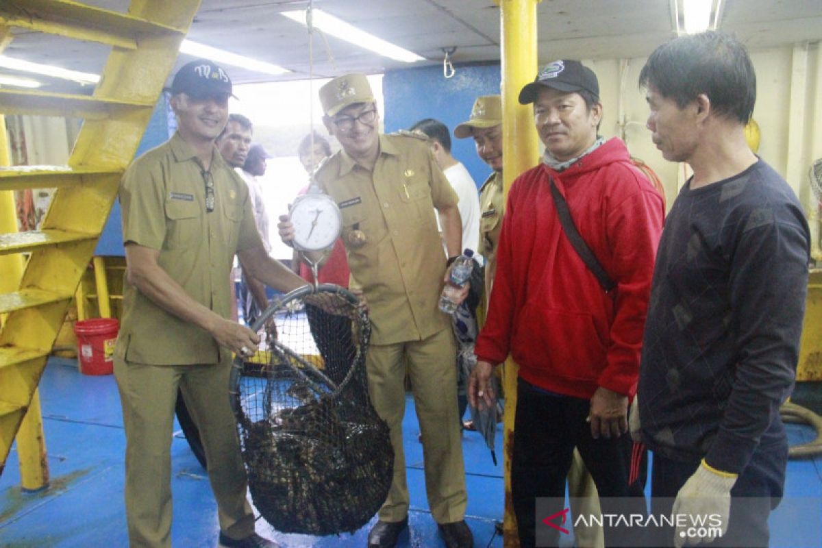 Belitung optimalkan peluang ekspor ikan laut pascapandemi
