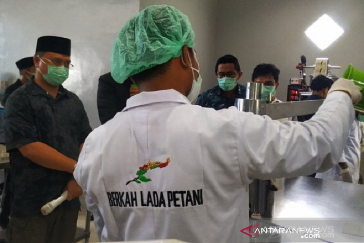 Pemprov Bangka Belitung ajukan lada putih sebagai produk nasional