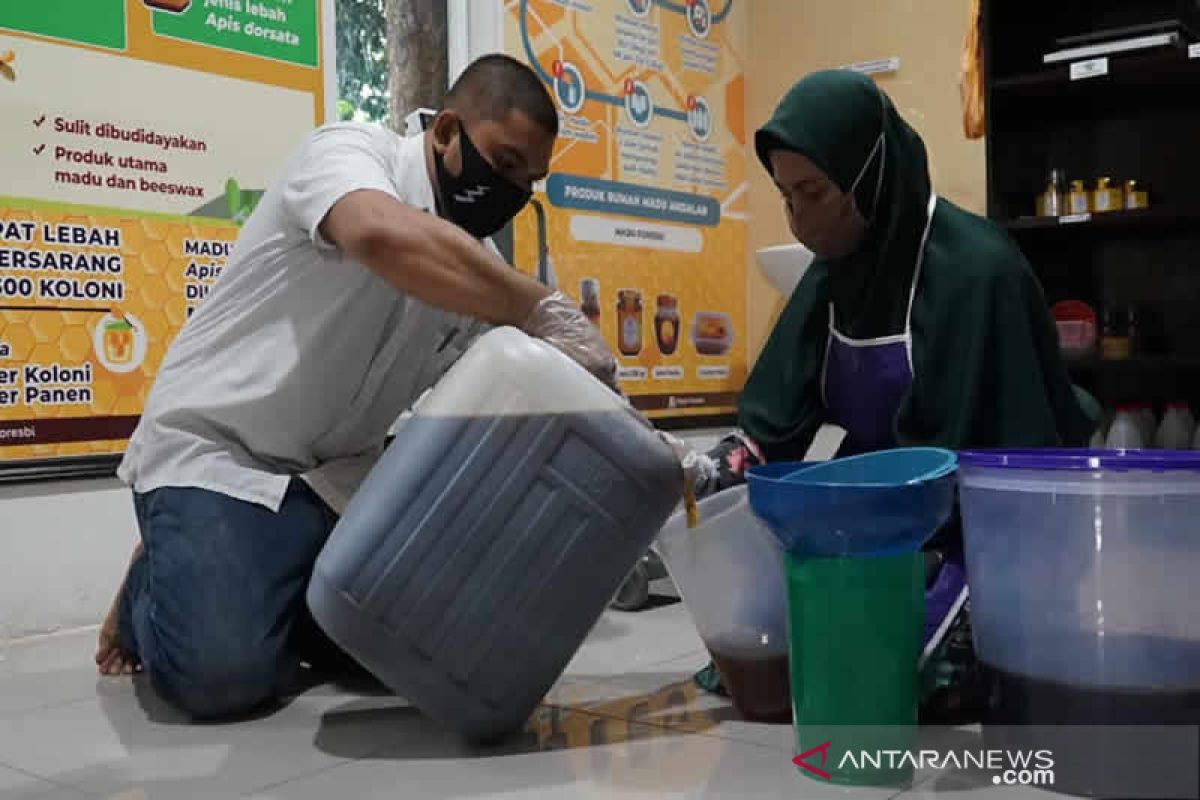 Saat pandemi COVID-19, permintaan madu terus meningkat