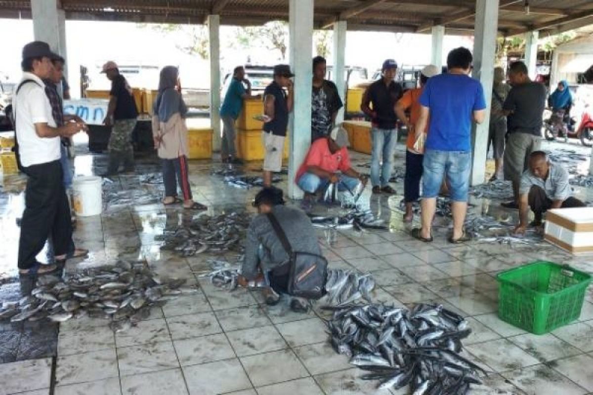 Nelayan tak melaut, aktivitas pelelangan ikan di Cilacap sepi