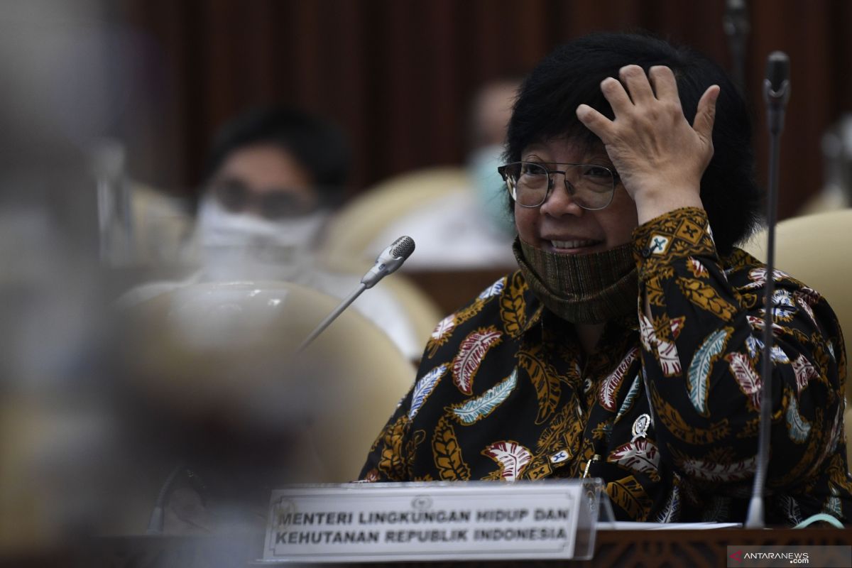 Di Raker DPR, KLHK bantah rencana pemutihan RTRW di Kalimantan Timur