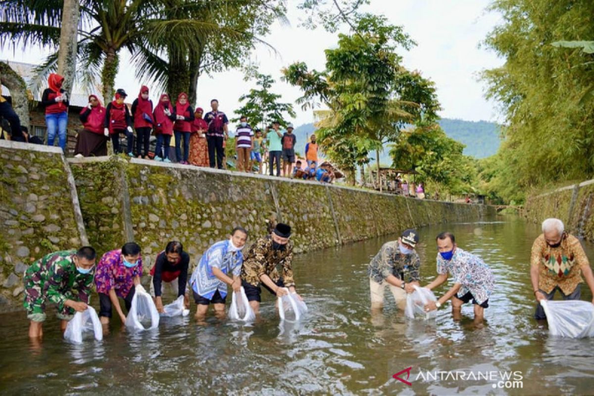 Bibit ikan ini yang ditebar Wali Kota Padang sebanyak 20 ribu ekor di Lubuk Begalung