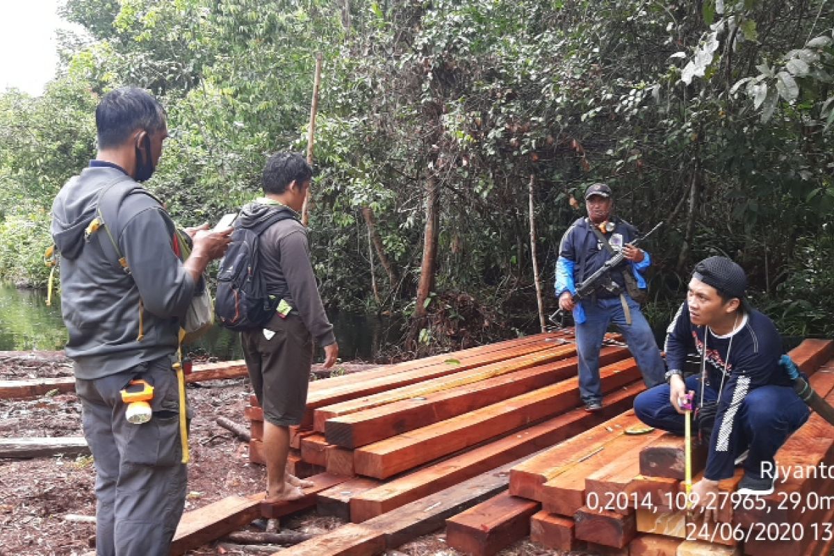 Tim gabungan ringkus pelaku pembalakan kayu di hutan KHDTK Untan Pontianak