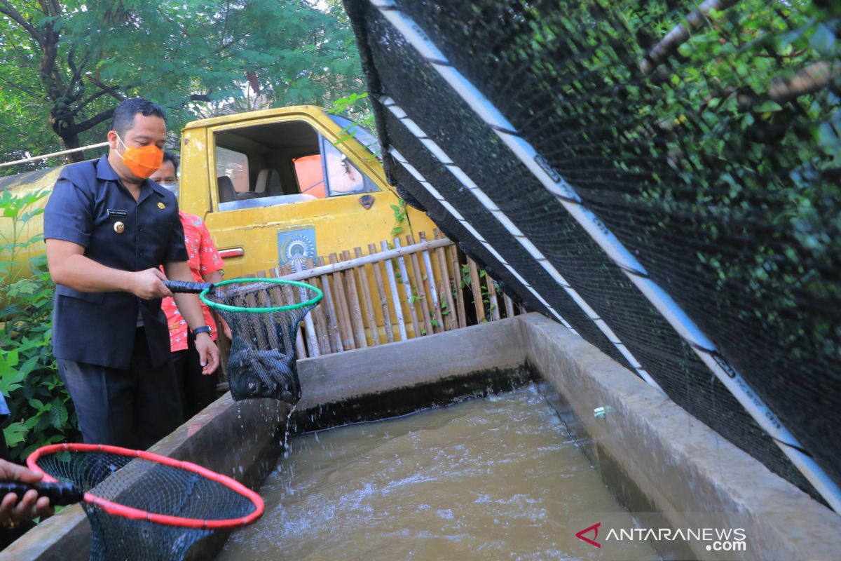 DLH Tangerang ubah lahan kosong di areal perkantoran jadi pusat pembibitan