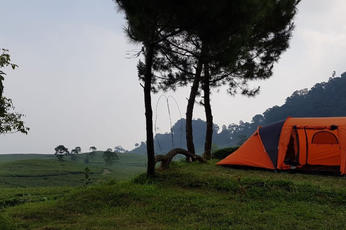 UI dampingi pengelola wisata kemping di Bogor hadapi era normal baru