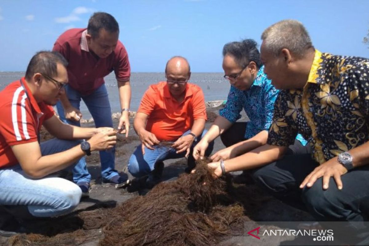 KBI jalankan program kemitraan untuk pengembangan UMKM