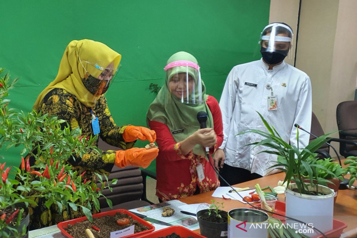 Jakarta Pusat ajak warga bertanam di lahan sempit