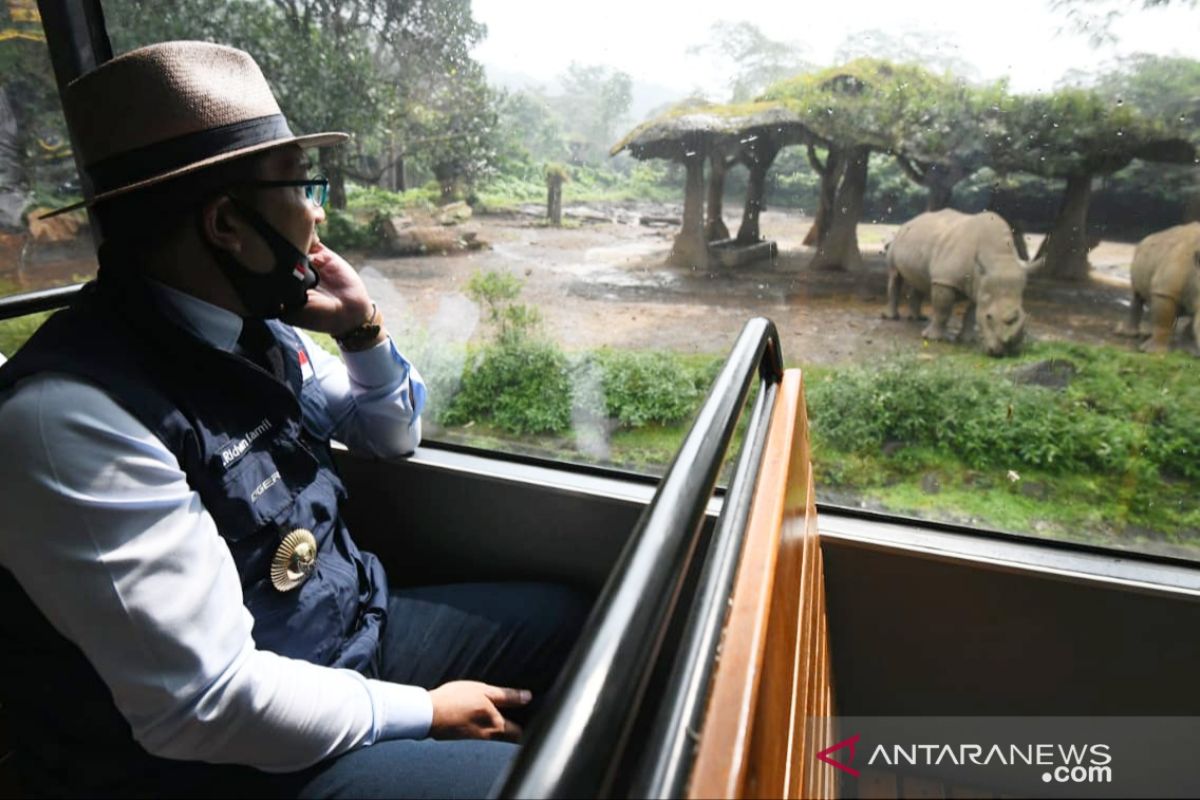 Ridwan Kamil izinkan Taman Safari Bogor kembali buka dengan beberapa alasan