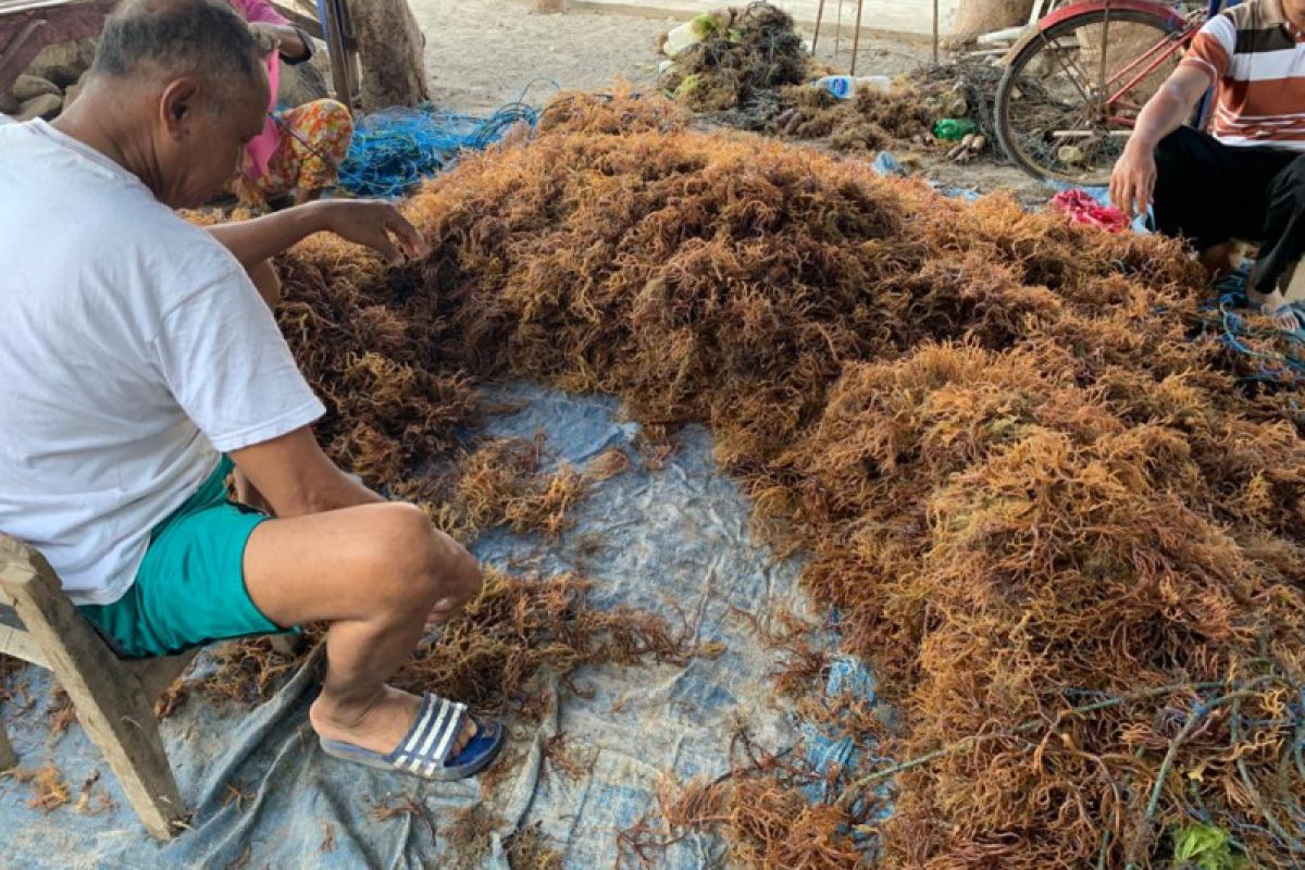 KBI akan tingkatkan jumlah mitra binaan UMKM