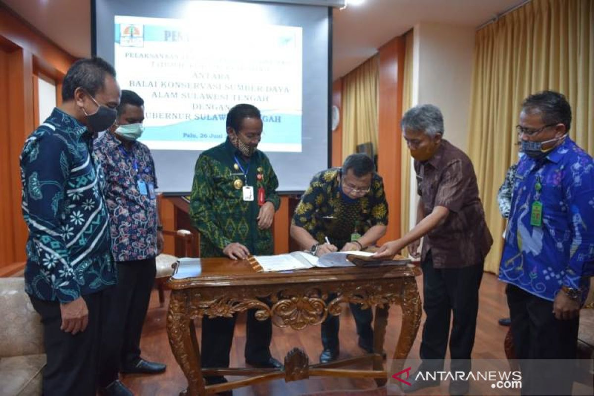 BKSDA Sulteng  setujui pembukaan jalan di kawasan hutan konservasi