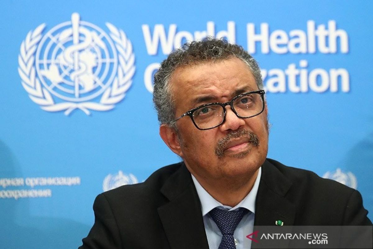 Jerman dukung Tedros lanjutkan jabatan dirjen WHO