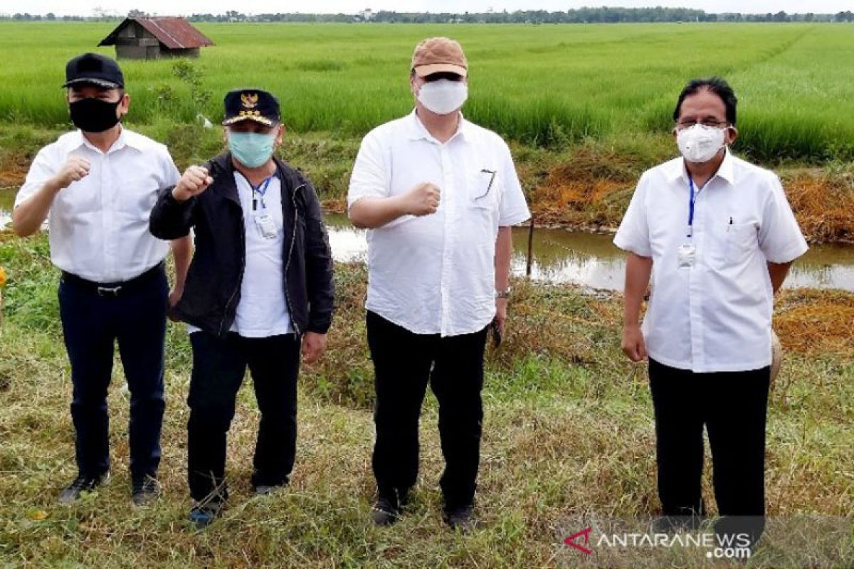 Pemerintah serahkan data inventarisasi tanah dukung  'food estate'  Kalteng
