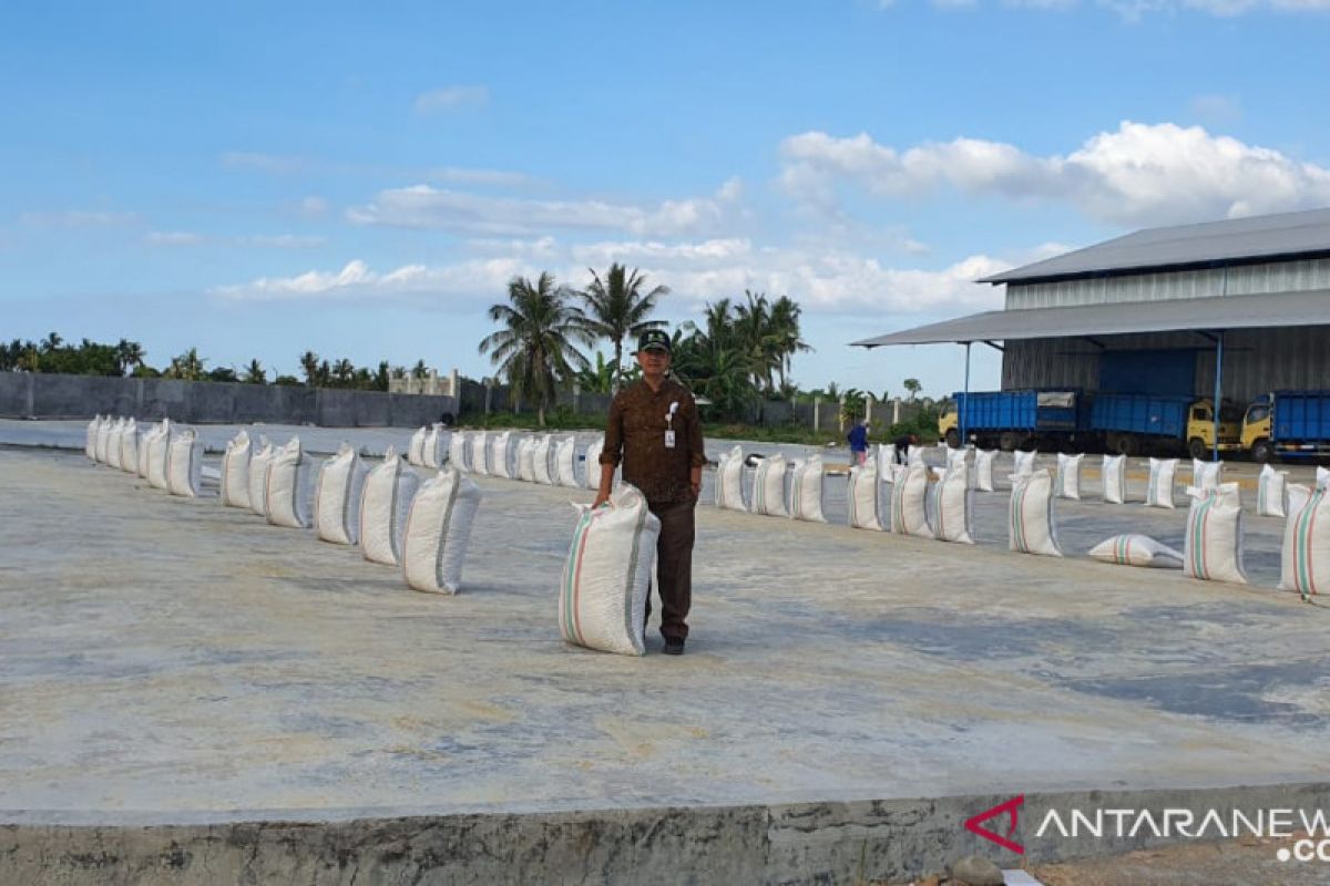 Bulog NTB menggandeng 80 mitra serap 115.000 ton gabah