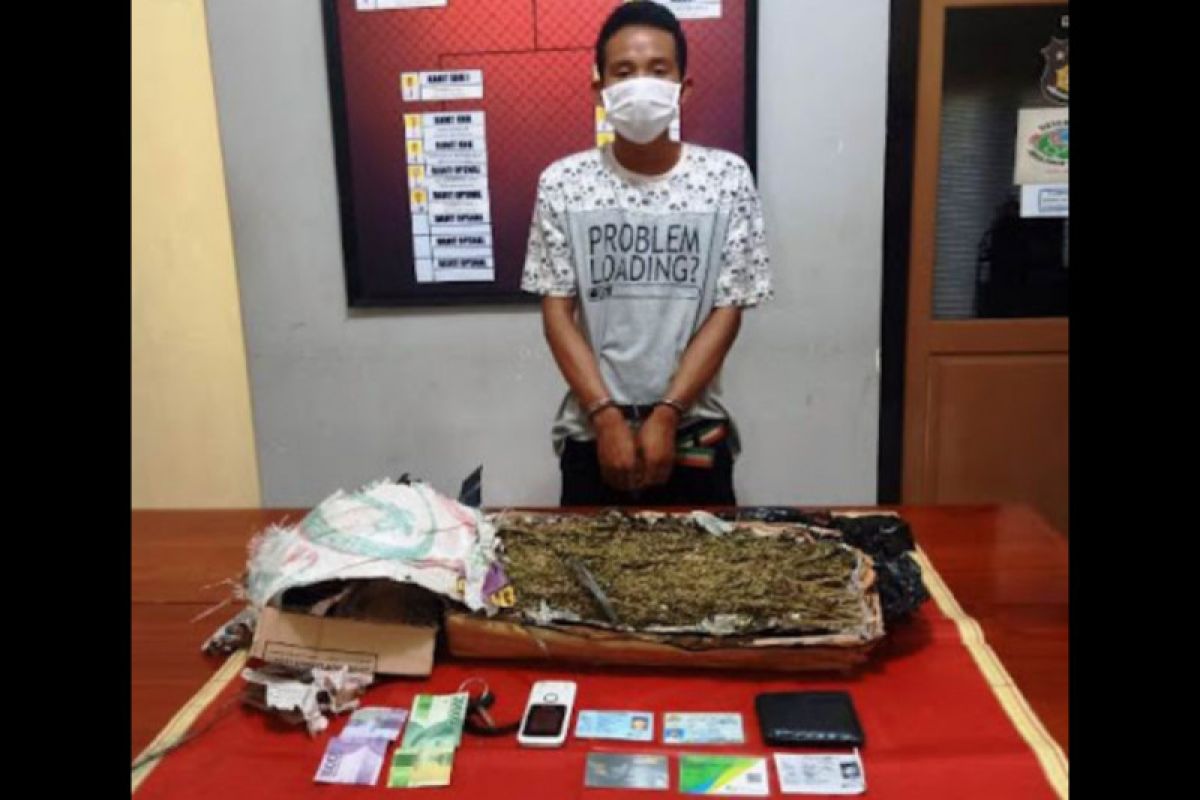 Terima paket 1,49 kilogram ganja dari Medan, pria di Kota Bima diringkus polisi