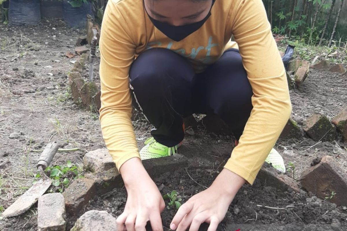 Mahasiswi Polbangtan Medan dampingi petani KPRL Pematangsiantar