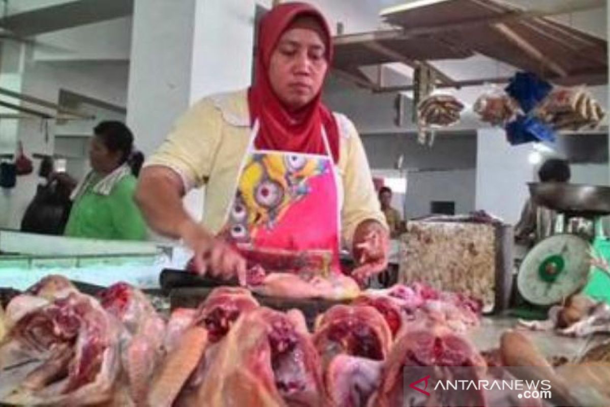 Harga ayam potong di Penajam Paser Utara bertahan tinggi