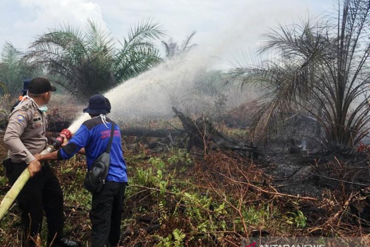 Seluas 23,7 hektare lahan di Nagan Raya terbakar akibat karhutla