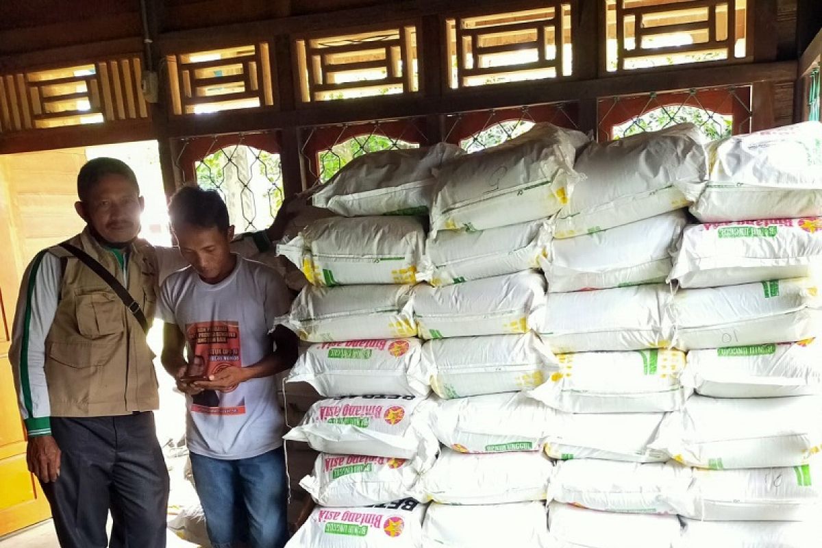 Pemerintah distribusikan benih jagung kepada petani Mukomuko