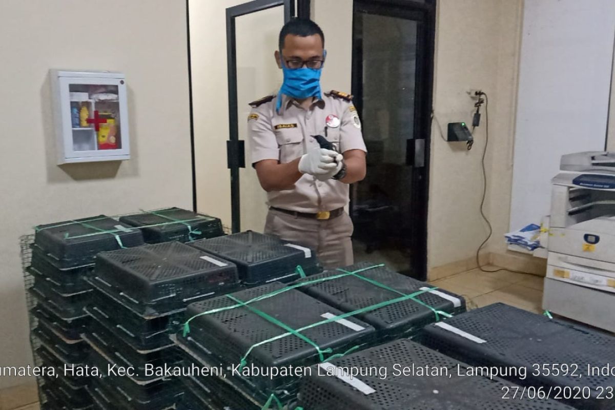 Polisi Lampung gagalkan penyelundupan 400 ekor burung kacer