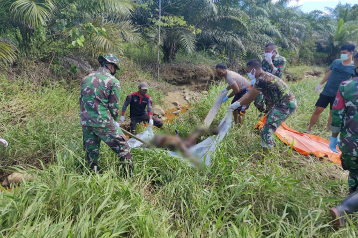 Warga temukan Kausar membusuk di kawasan perkebunan perbatasan Indonesia-Malaysia