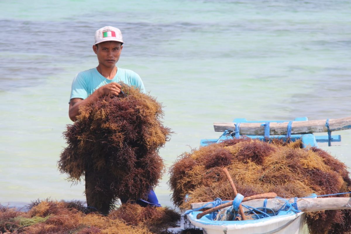 Anggota DPR RI ingin BSN beri kemudahan bagi pelaku industri usaha kecil