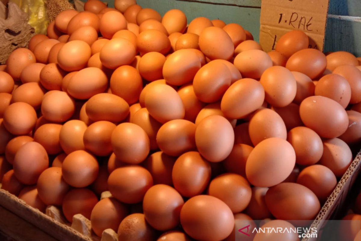 Harga telur ayam ras di pasar tradisional Ambon naik