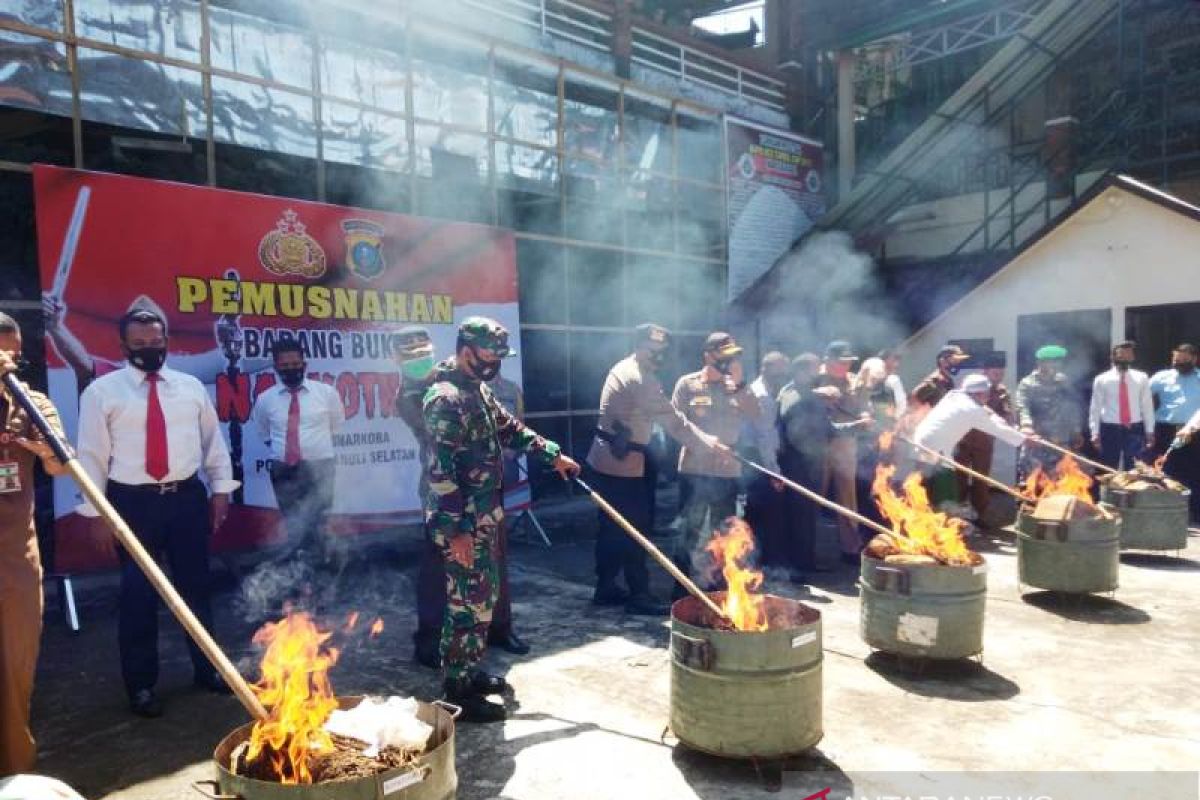 Kapolres Tapsel pimpin pemusnahan ganja 245 kg lebih