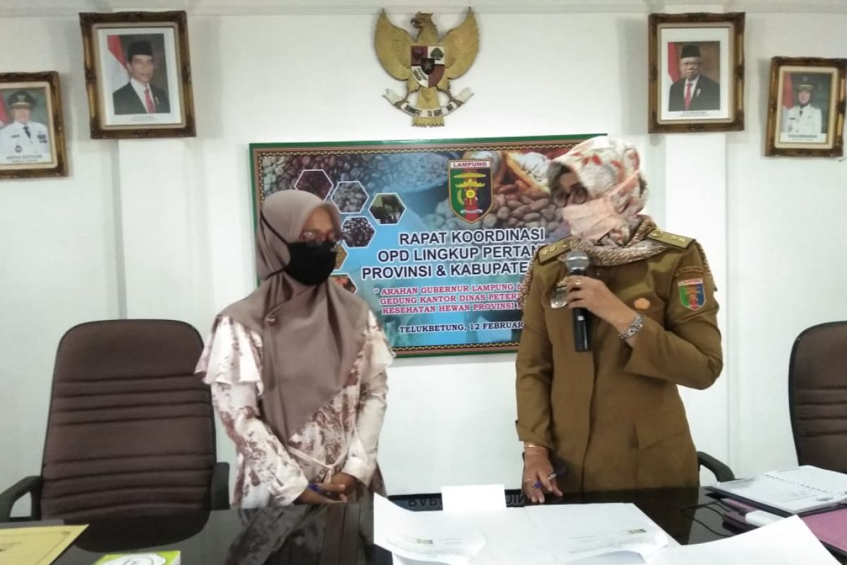 Dinas Peternakan dan Kesehatan Hewan Lampung jalin MoU dengan UTB