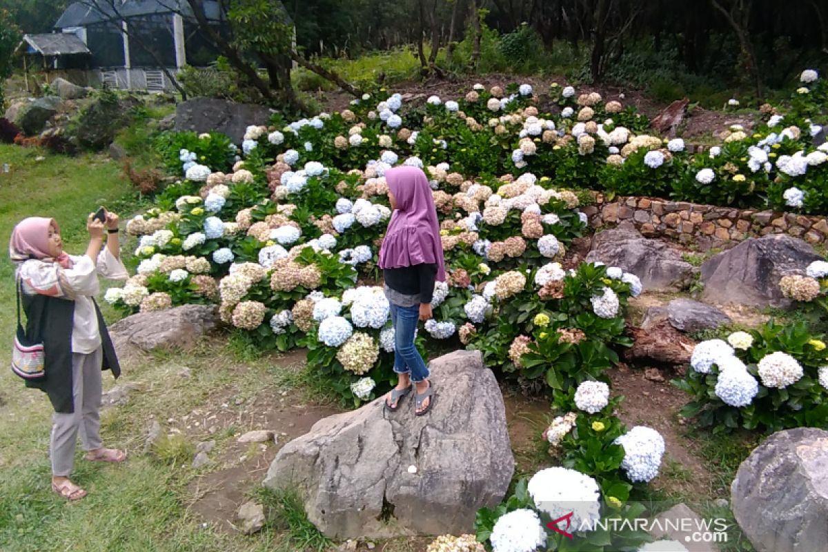 Wisatawan lokal dominasi kunjungan ke objek  wisata Garut di masa normal baru