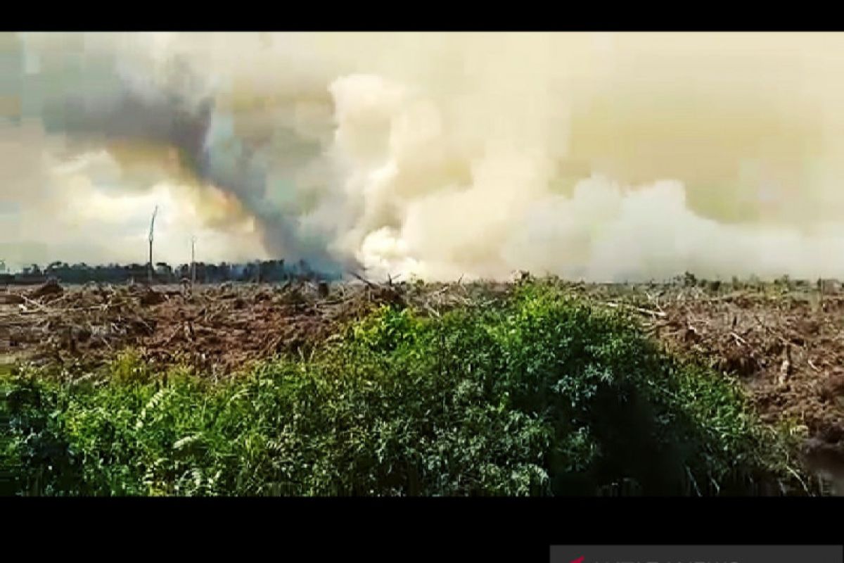 Baru 80 ribu ha, capaian target perhutanan sosial Riau masih rendah