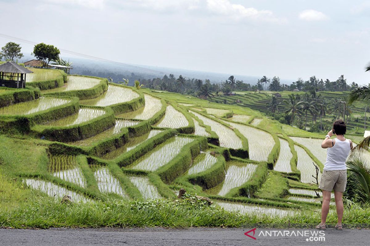 Peringatan pengesahan Subak di balik tampilan Google Doodle hari ini