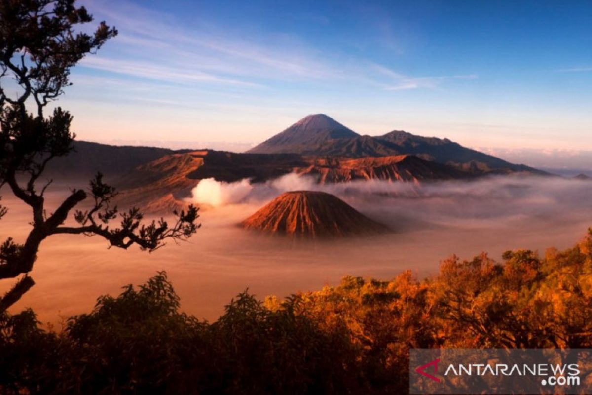 Gunung Bromo dibuka dengan protokol kesehatan ketat