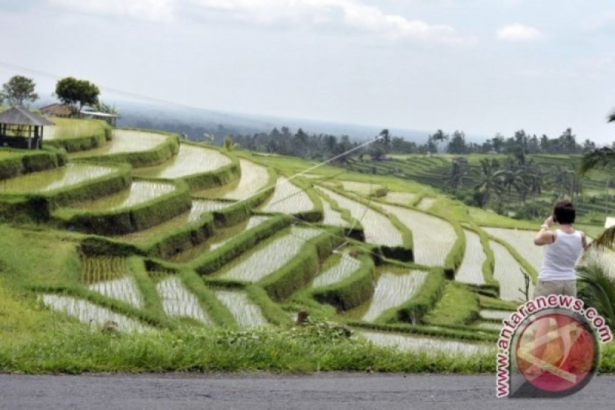 Peringatan pengesahan Subak di balik tampilan Google Doodle hari Senin ini