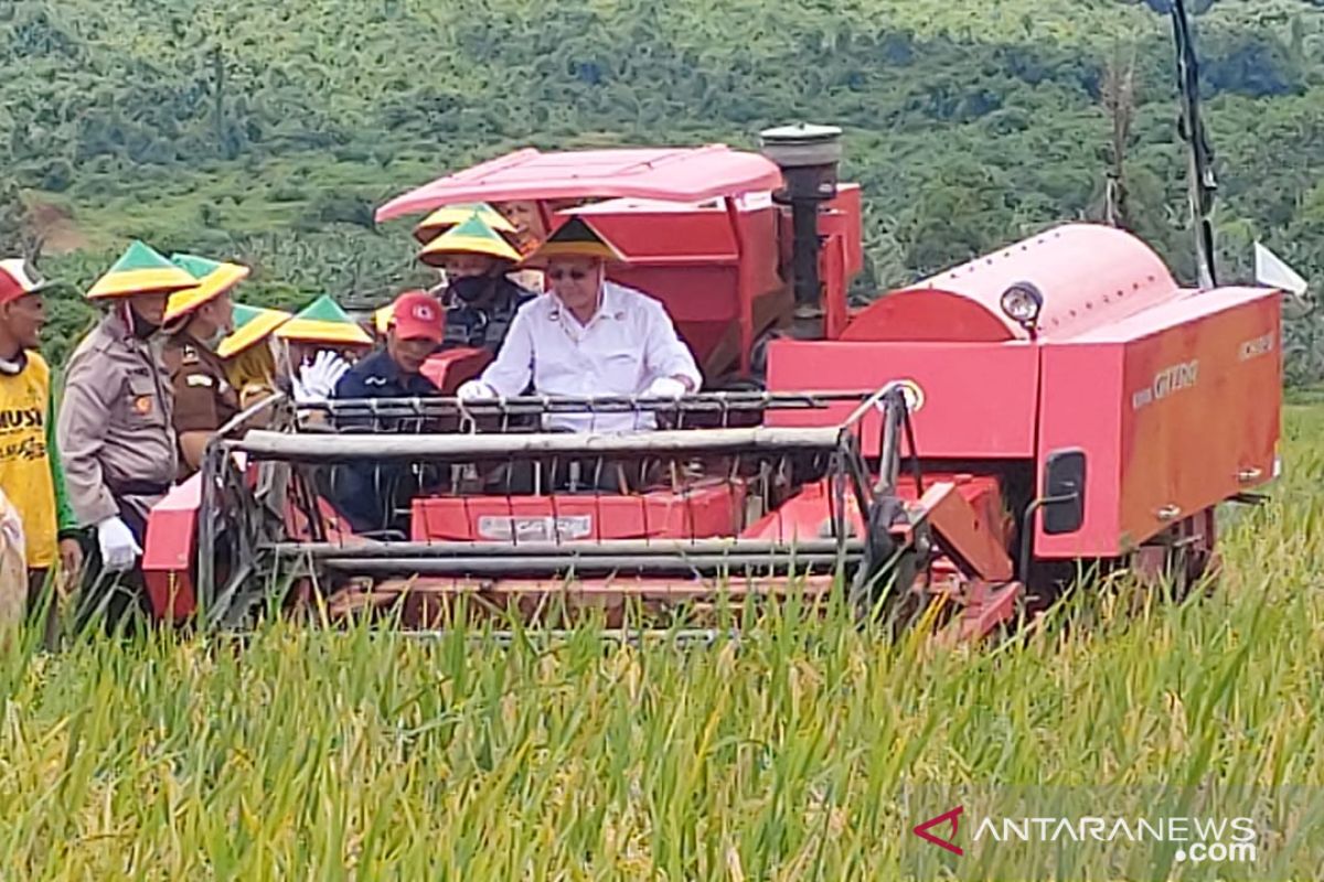 Bupati panen raya padi sawah Desa Sungai Pasir