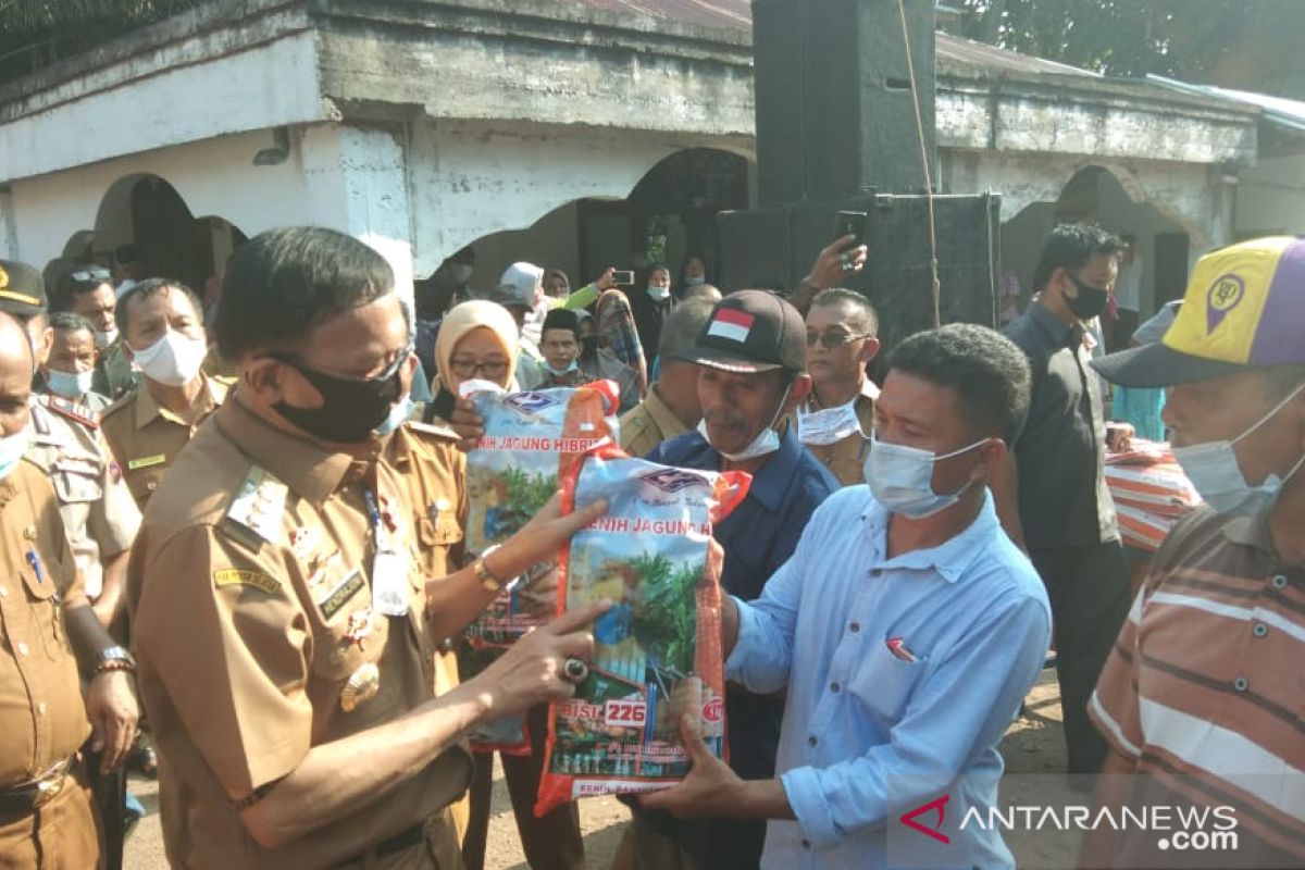 Bupati Hendrajoni serahkan bantuan bibit jagung ke petani Rawang Gunung Malelo